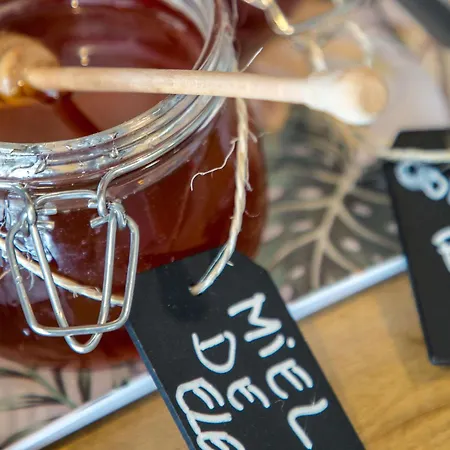 Hotel Ibis Budget St Raphael Centre